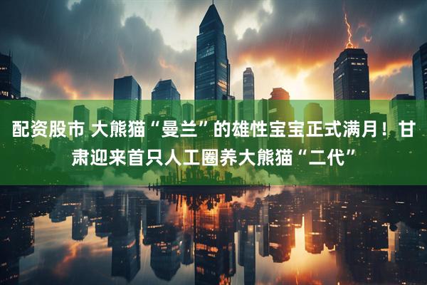 配资股市 大熊猫“曼兰”的雄性宝宝正式满月！甘肃迎来首只人工圈养大熊猫“二代”