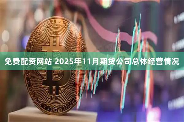 免费配资网站 2025年11月期货公司总体经营情况