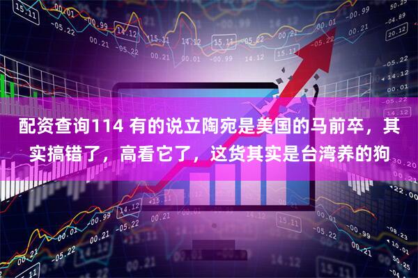 配资查询114 有的说立陶宛是美国的马前卒，其实搞错了，高看它了，这货其实是台湾养的狗